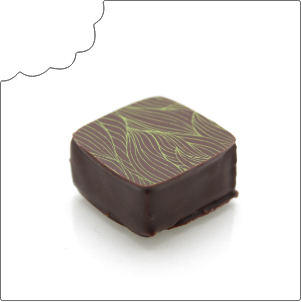 Etablissements Bruno Le Derf Chocolatier Rennes Matcha